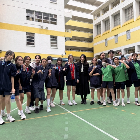 vb (17)
