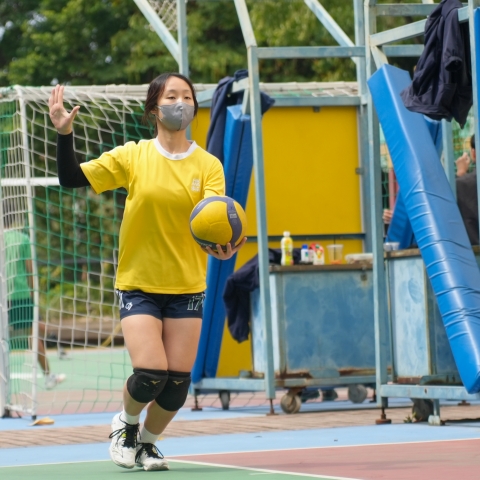 vb (13)