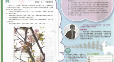 Student's writing has been published in Singtao