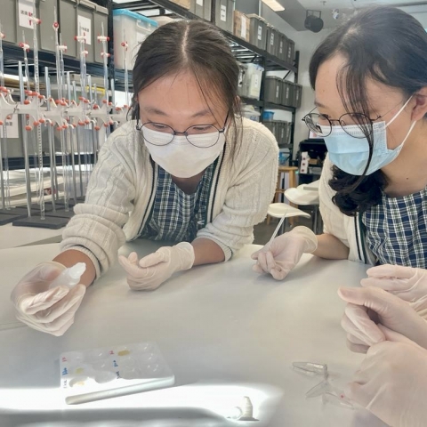 36705934-6425-416e-b7c2-fabc133d387d