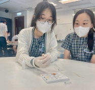 9ba919be-ebf3-4212-87e2-439646418cef