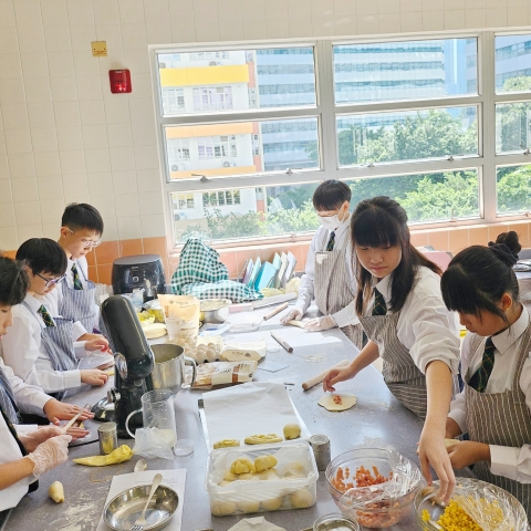 MEITU_20241202_162054079