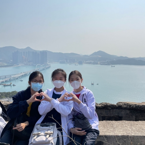 98ce6d0a-1a78-4772-8291-4156fb534d96