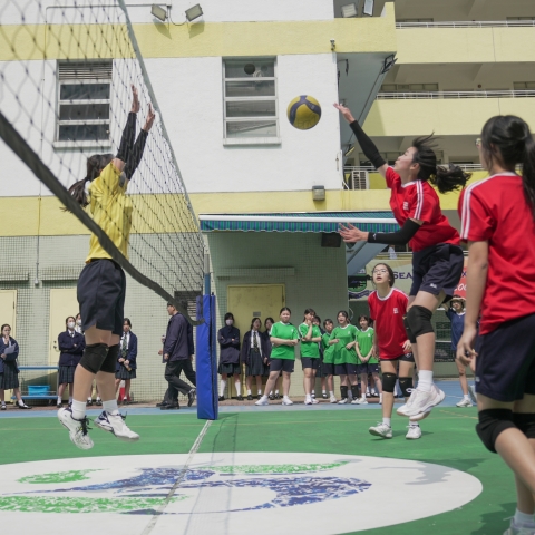 20250218_volleyball-4