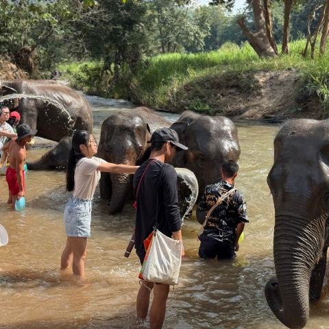 chiang mai (51)