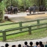 Malaysia (2)