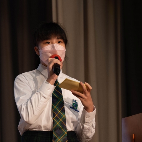 assembly (11)