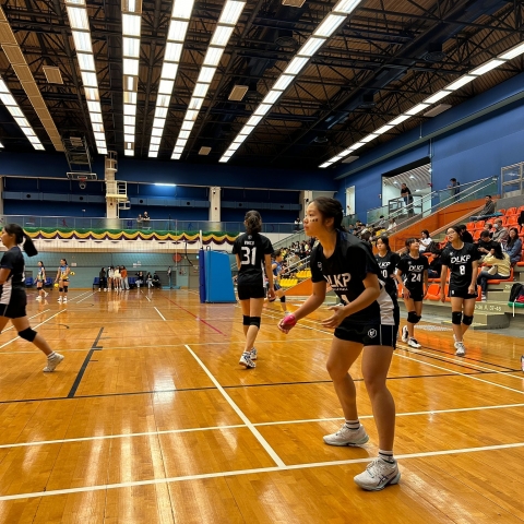 vb (16)