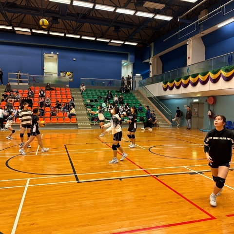 vb (25)