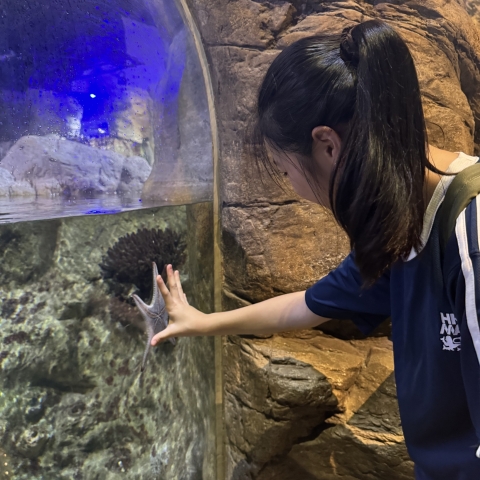ocean park (5)
