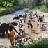 chiang mai (13)