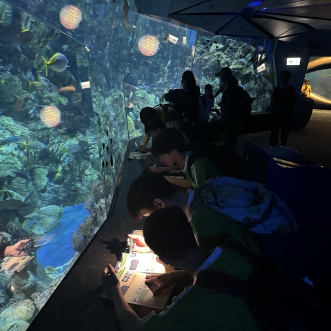 ocean park (6)