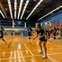 vb (16)