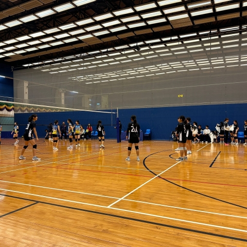 vb (10)