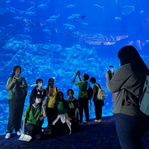 ocean park (9)