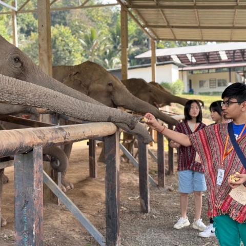 chiang mai (20)