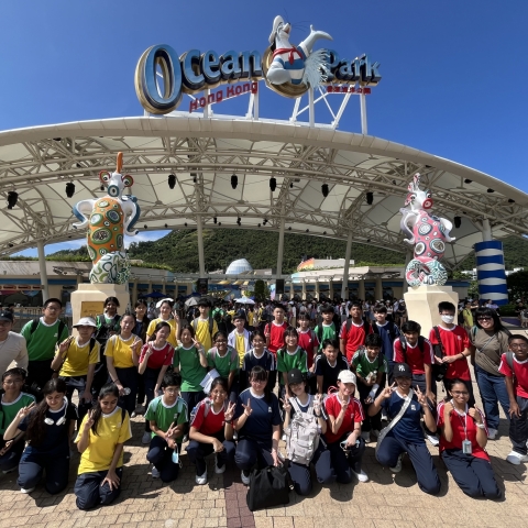 ocean park (2)