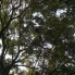 DSC01055