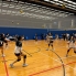 vb (1)
