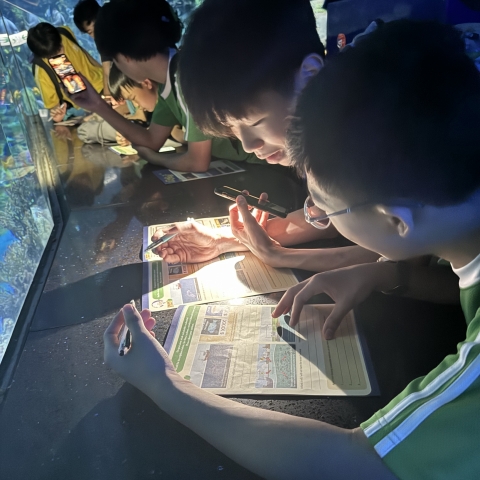 ocean park (7)