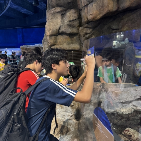 ocean park (4)