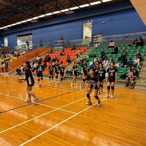 vb (18)