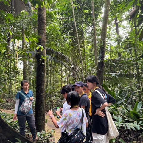 Malaysia (4)