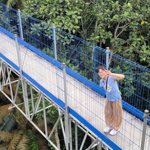 Malaysia (17)