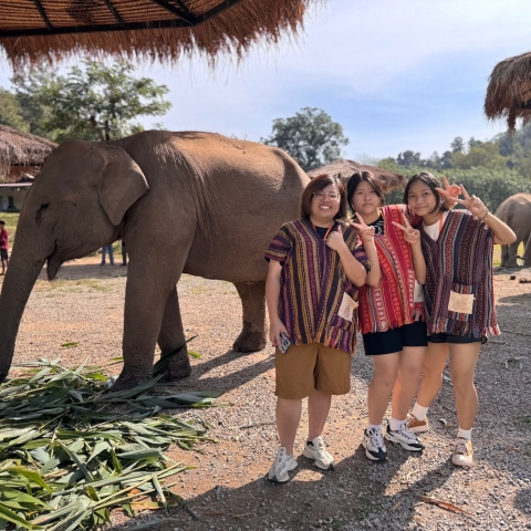 chiang mai (41)