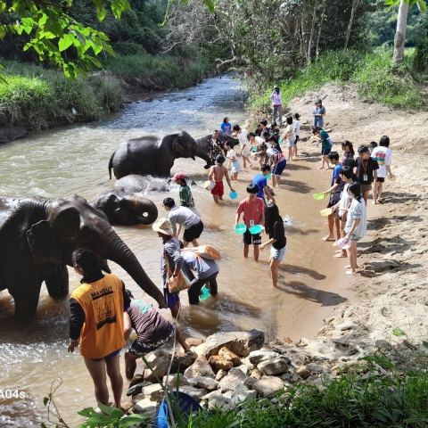 chiang mai (13)