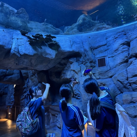 ocean park (8)