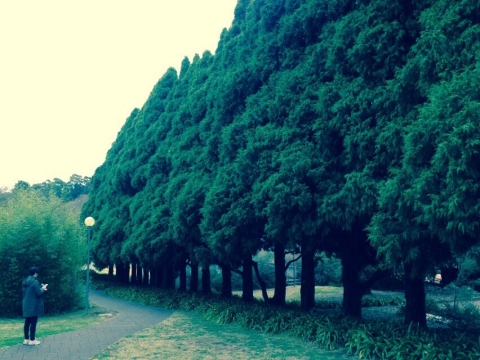 IMG-20150722-WA0020