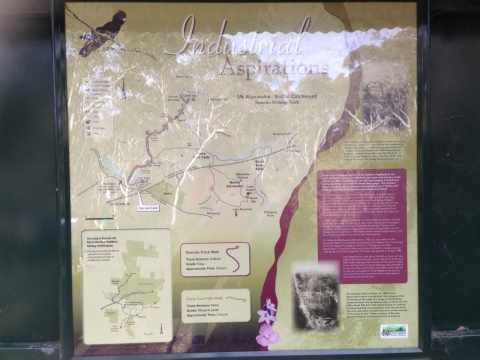 IMG-20150730-WA0017