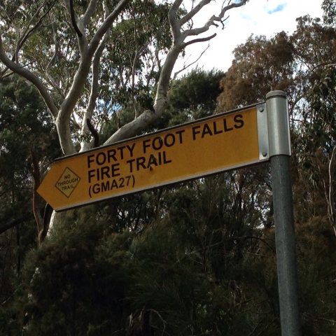 IMG-20150730-WA0034