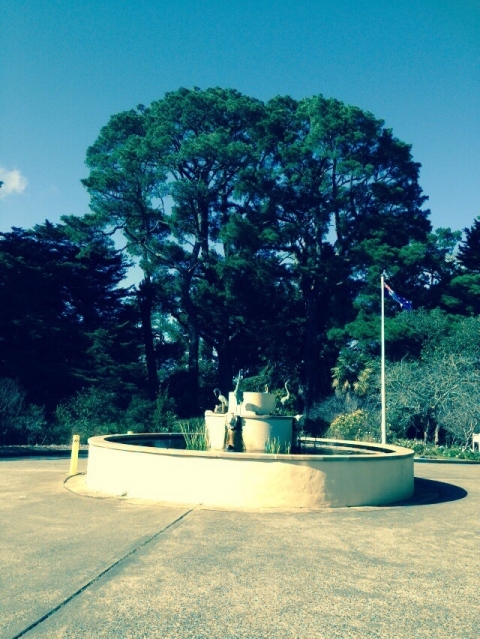 IMG-20150721-WA0017