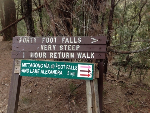 IMG-20150730-WA0031