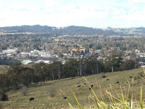 IMG-20150726-WA0021