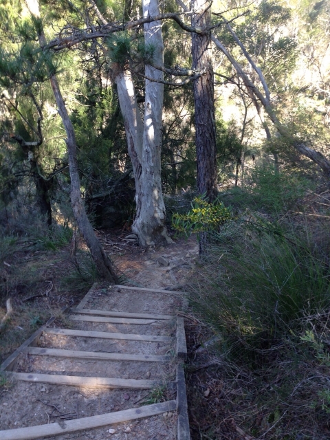 IMG-20150730-WA0051