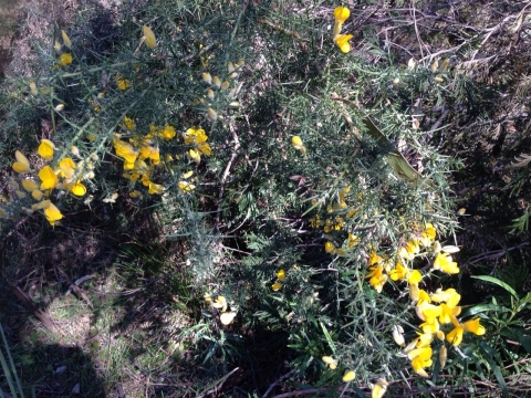 IMG-20150730-WA0050