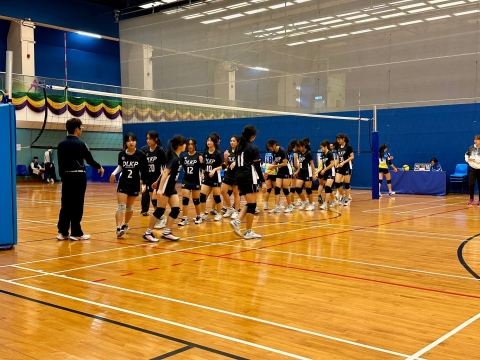 vb (5)