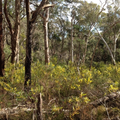 IMG-20150730-WA0023
