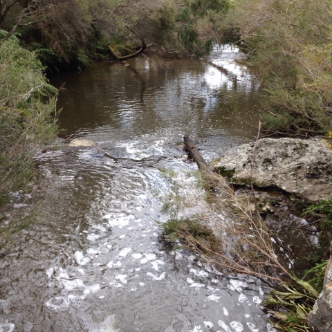 IMG-20150730-WA0037