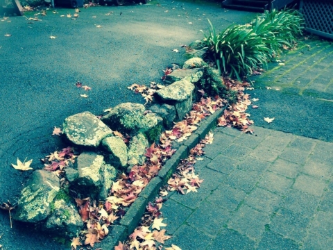 IMG-20150723-WA0019