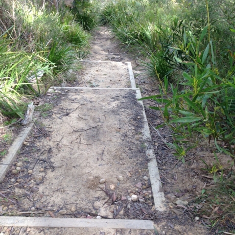 IMG-20150730-WA0020