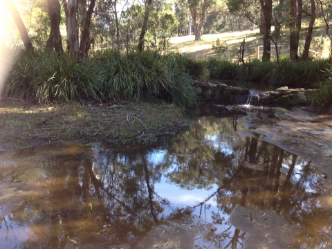IMG-20150730-WA0052