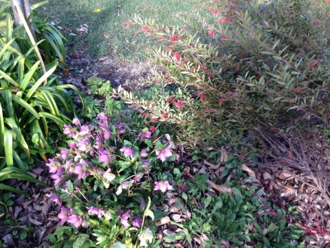 IMG-20150726-WA0032