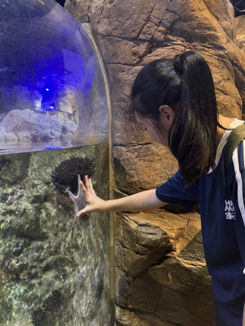 ocean park (5)