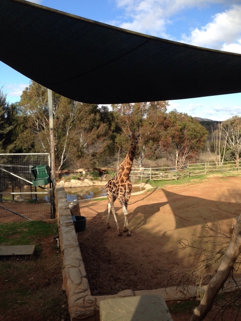 IMG-20150725-WA0040