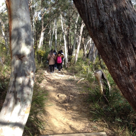 IMG-20150730-WA0024