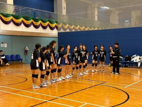 vb (20)